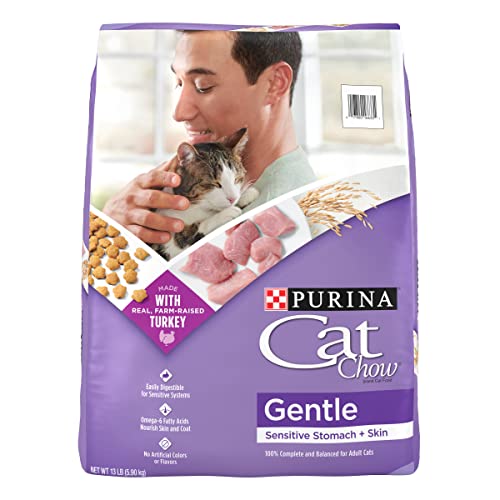 Best Dry Cat Food for Sensitive Stomach