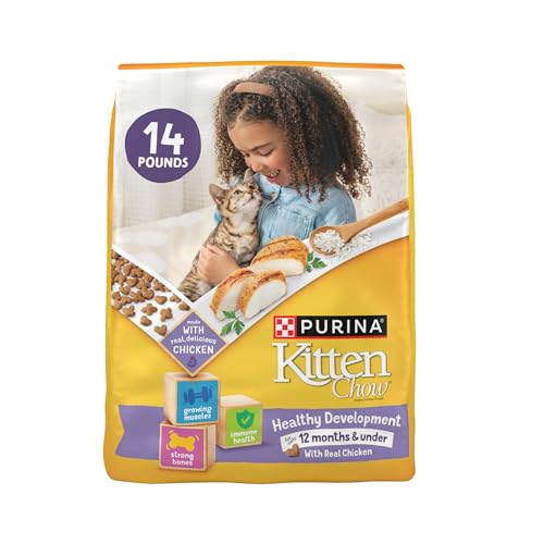 Best Food for Kittens