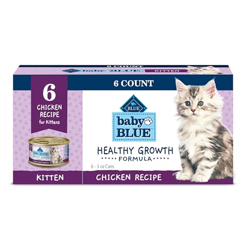 Best Kitten Canned Food