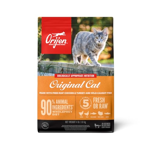 Best Raw Food for Cats