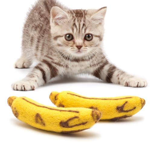 Can a Cat Eat a Banana
