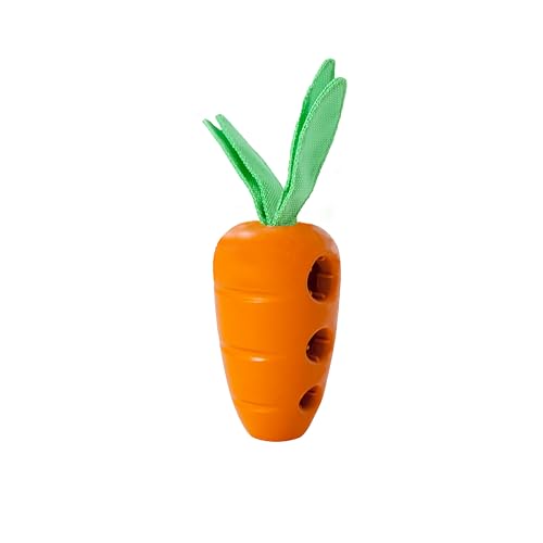 Can a Dog Eat a Carrot
