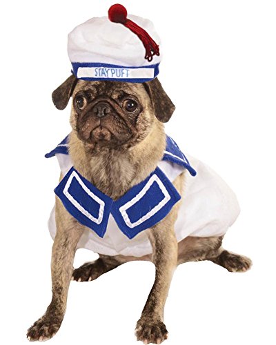 Can a Dog Eat a Marshmallow