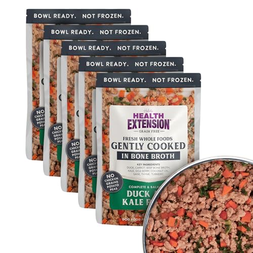 Can a Dog Eat Kale