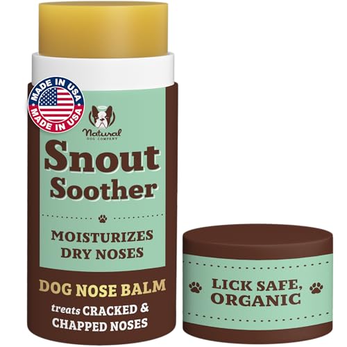 Can a Dog Eat Whipped Cream? Discover Safe Treats for Your Pup!