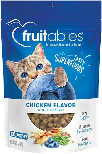 Can Cat Eat Blueberry