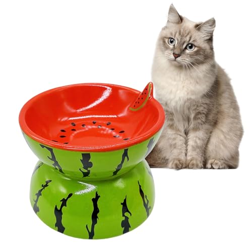 Can Cat Eat Watermelon