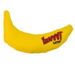 Can Cats Have Bananas