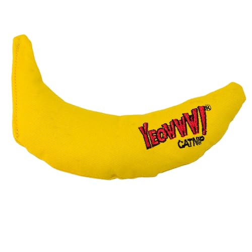 Can Cats Have Bananas