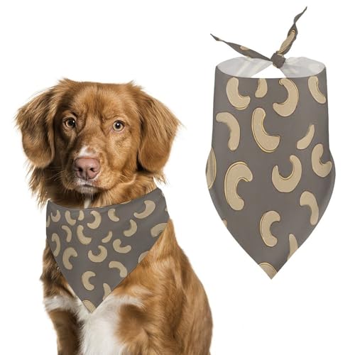 Can Dog Eat Cashew