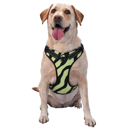 Can Dog Eat Honeydew