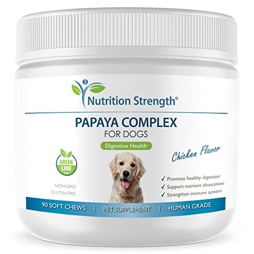 Can Dog Eat Papaya