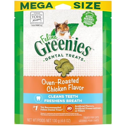 Can Kittens Eat Adult Cat Food