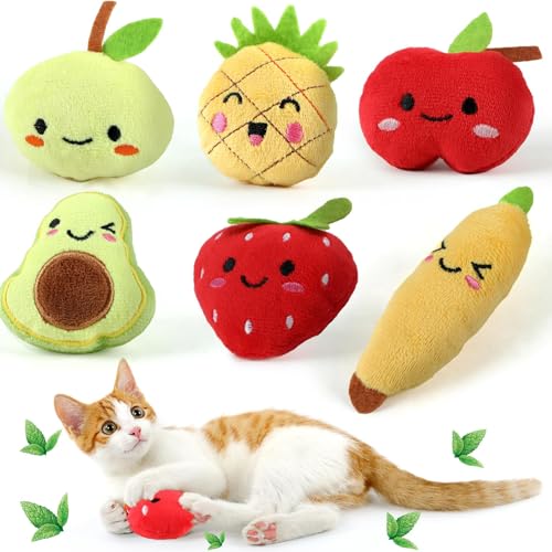 Cat Eating an Apple