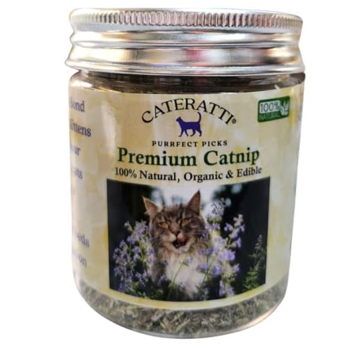 Cat Eating Catnip