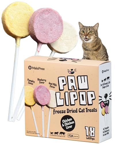 Cat Eating Ice Cream