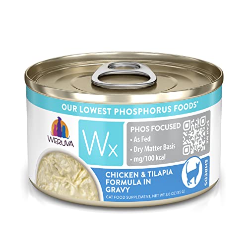 Cat Wet Food With Tilapia Gravy: Delicious Choices Your Feline Will Love