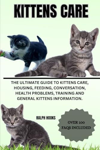 How Long to Feed Kitten Food
