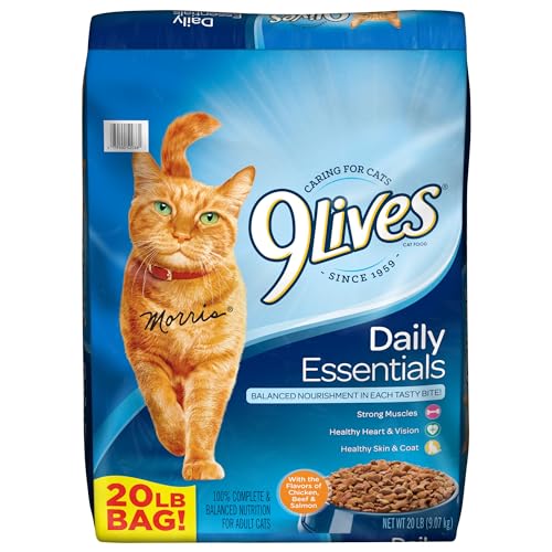 How Much Cat Food Per Day