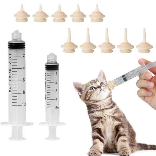 How Much Do Kittens Eat