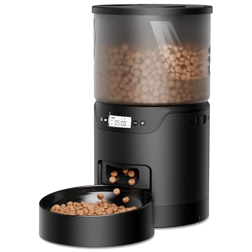 How Much Food Should a Cat Eat