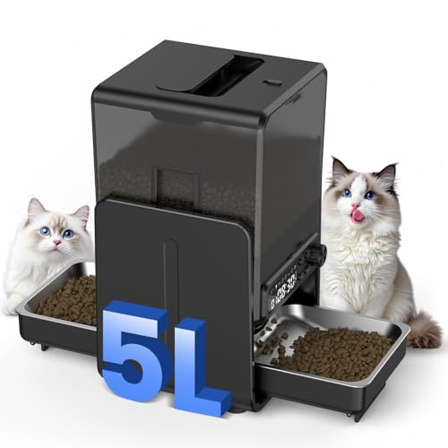 How Much Should an Adult Cat Eat