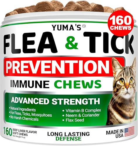 How Old Do Kittens Need to Be to Eat