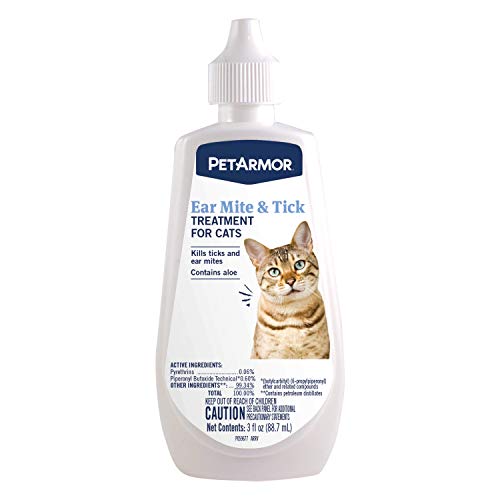 How to Treat Ear Mites in Cats at Home