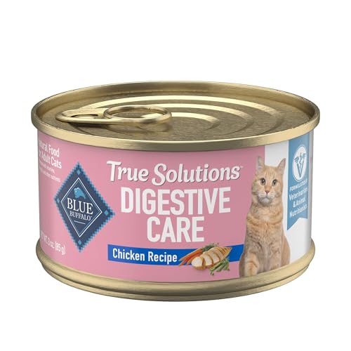 My Cat is Suddenly Overeating What to Do