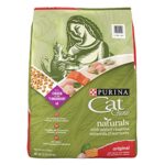 What Can Cats Eat