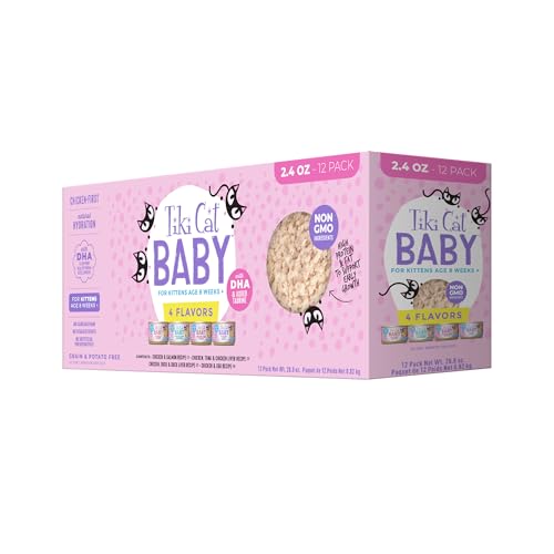 What Do 8 Week Old Kittens Eat