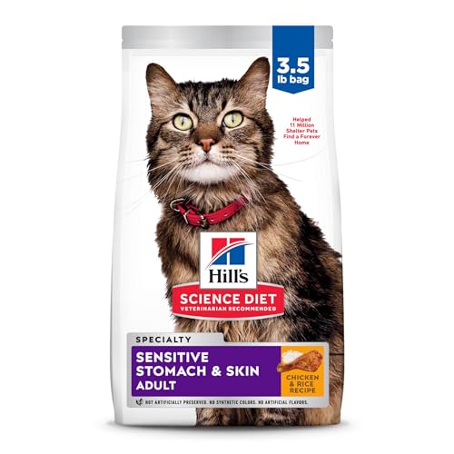 Why is My Cat Throwing Up Undigested Food? Expert Tips Inside!