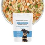 13 Diy Dog Food Recipes for a Balanced Diet