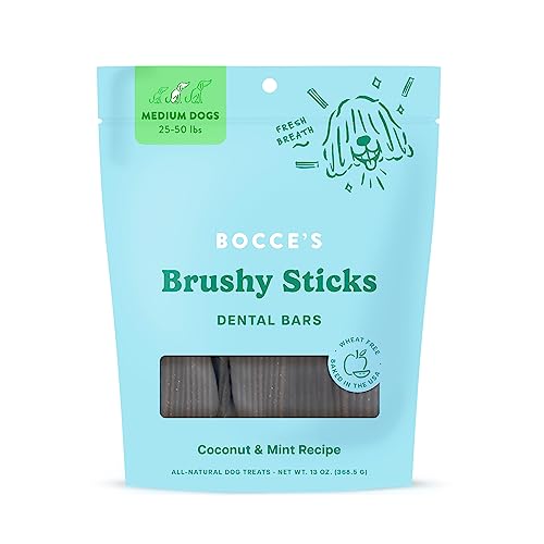 5 Easy Homemade Dog Dental Treats for Fresh Breath