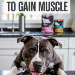Best Dog Food For Pitbulls To Gain Muscle