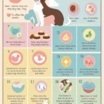 Understanding Why My Dog Won't Eat: Common Causes and Concerns