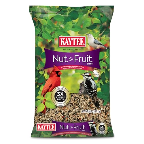 Bird Food: Discover the Best Options for Happy, Healthy Birds