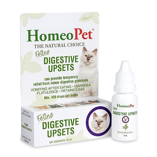 How Long Does It Take Cats to Digest Food