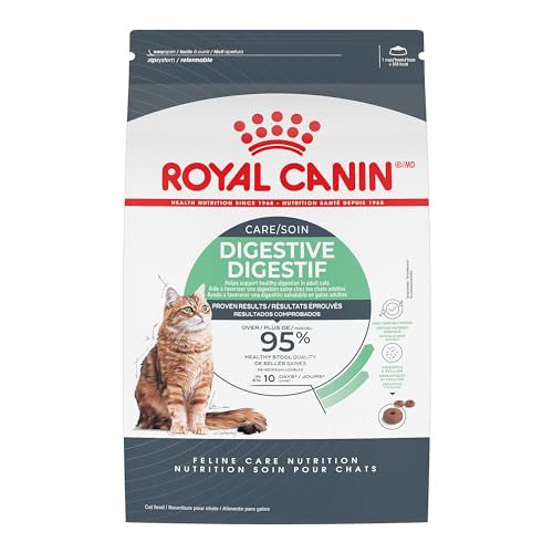 How Long for Cat to Digest Food: Essential Insights for Pet Owners