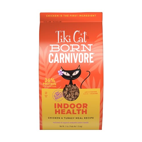 How to Control Bugs from Cat Food: Tips for a Pest-Free Feeding Zone