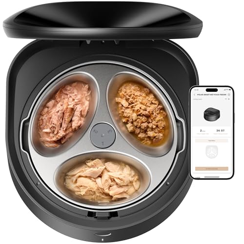 How to Feed Cat Wet Food: Tips for Using Automatic Feeders Effectively