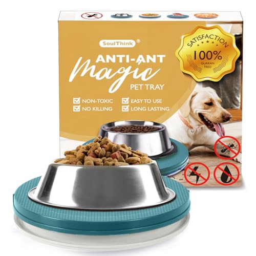How to Get Rid of Ants in Cat Food Bowl Effectively and Easily