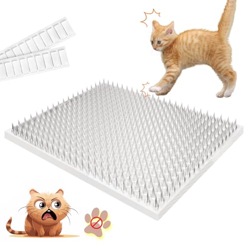 How to Keep Birds Away from Cat Food: Effective Solutions and Tips