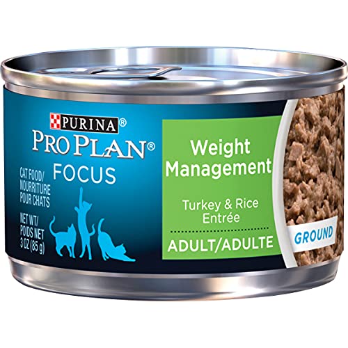 How to Keep Cat from Eating Other Cats’ Food: Tips and Solutions