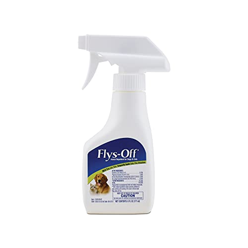 How to Keep Flies Away from Cat Food Naturally and Effectively