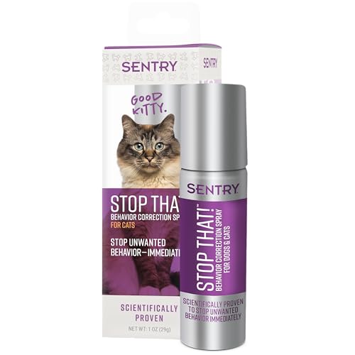 How to Stop Cat from Begging for Food: Effective Solutions Revealed!