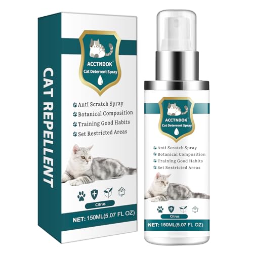 How to Stop Cat from Eating Other Cats Food: Effective Solutions Revealed