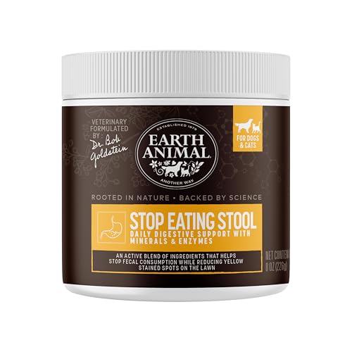 How to Stop Dog from Eating Cat Food: Effective Tips and Solutions