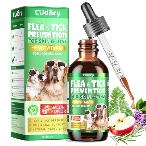 How to Stop Dogs from Eating Cat Food: Effective Tips and Solutions