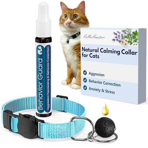 How to Stop Food Aggression in Cats: Effective Solutions and Products